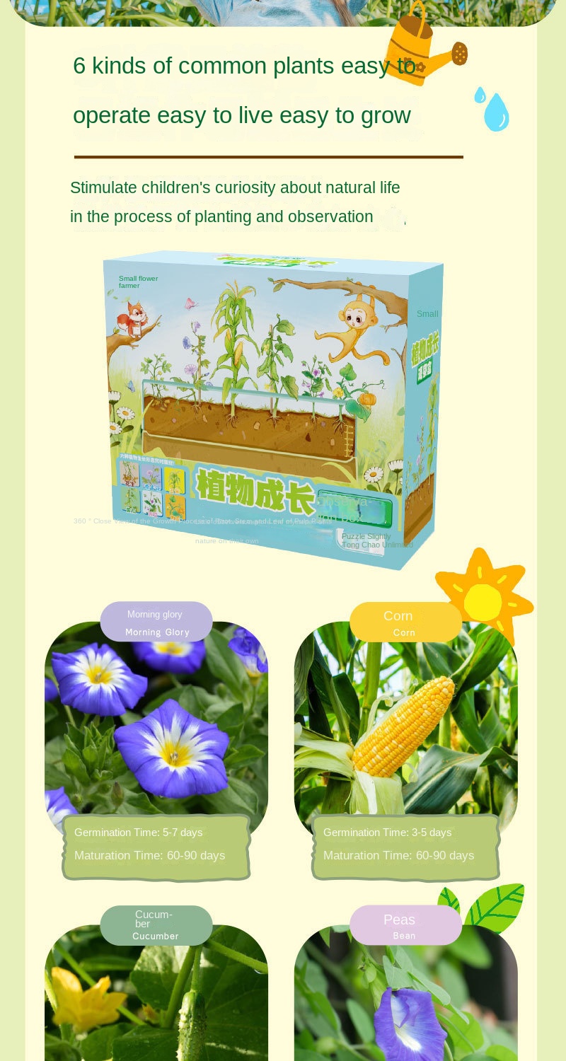 Kids & Students Plant Growth Observation Kit – Transparent Gardening Box for Flowers, Potted Plants & Educational Science Toys 12 Jb Stationers S185f7207a07846ef8fb0d278a43b9e05R 1