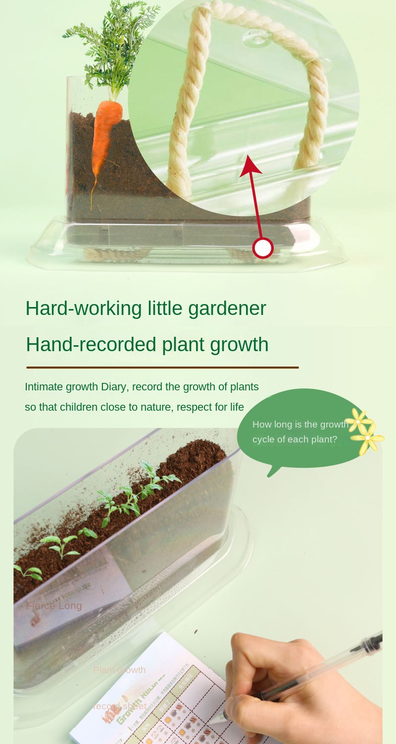 Kids & Students Plant Growth Observation Kit – Transparent Gardening Box for Flowers, Potted Plants & Educational Science Toys 10 Jb Stationers S1e82b14f664e41adb14b2d4caae6090eo 1