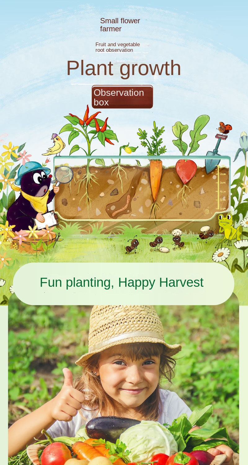 Kids & Students Plant Growth Observation Kit – Transparent Gardening Box for Flowers, Potted Plants & Educational Science Toys 15 Jb Stationers S2602e874a94343d297c9d5e34b09ca4dO