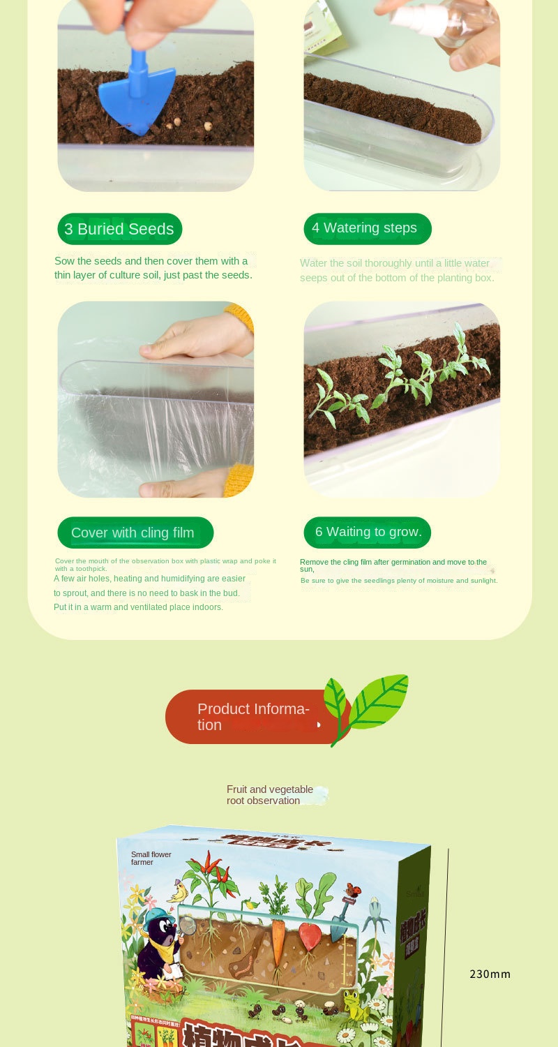 Kids & Students Plant Growth Observation Kit – Transparent Gardening Box for Flowers, Potted Plants & Educational Science Toys 13 Jb Stationers Sd2bcfb607e984b51a1d6de472a354f03U