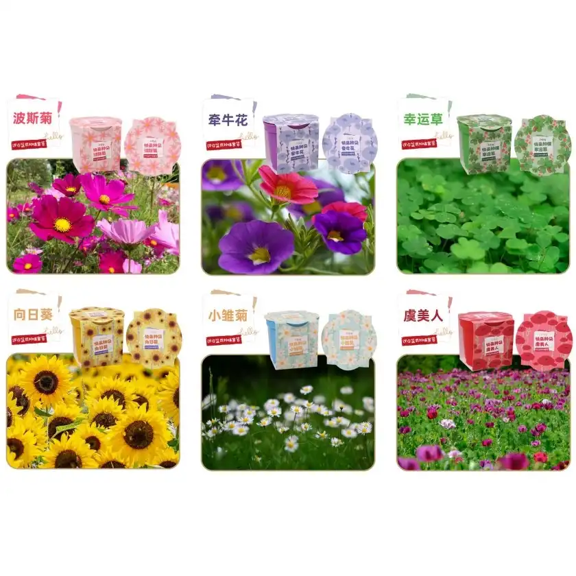"Flower Planting Kit" for Beginners Come and Plant! 2 Jb Stationers "Flower Planting Kit for Beginners"