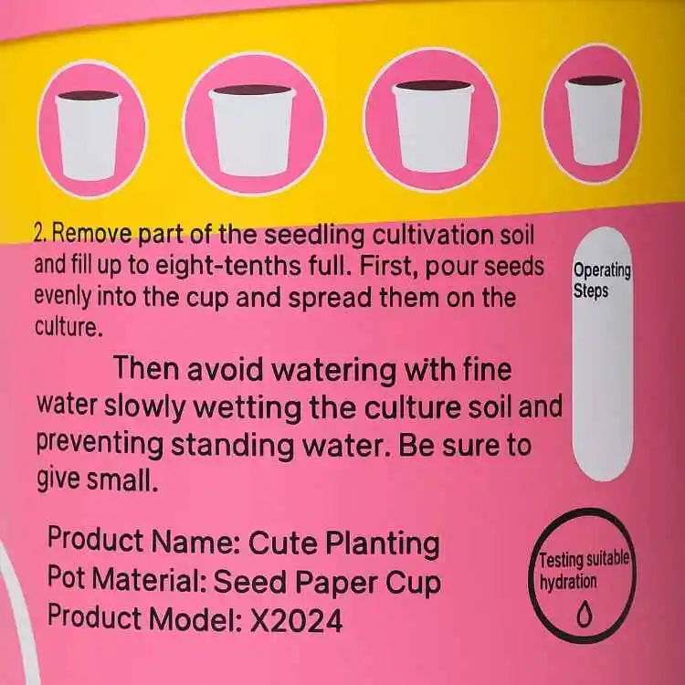 Cute Mini Plant Growing Kit– DIY Seed Paper Cup for Kids & Home Gardening 5 Jb Stationers Cute Mini Plant Growing Kit