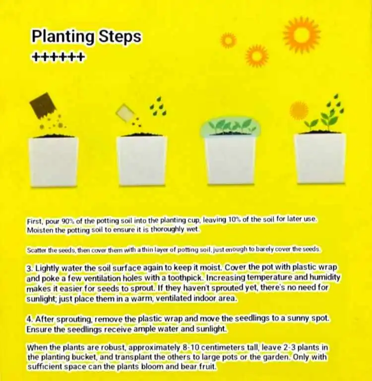 Little Flower Farmer® "Blooming Potted Plant Growing Box" – All-in-One Potted 5 Jb Stationers Blooming Potted Plant Growing Kit