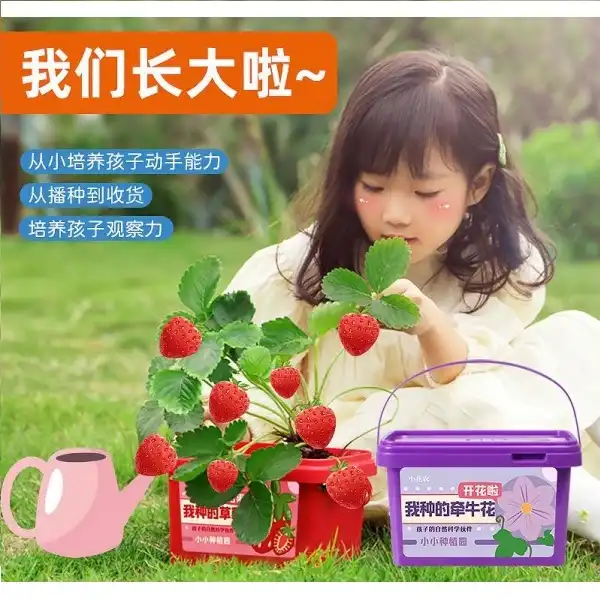 Fruit & Vegetable Fun Growing Cup