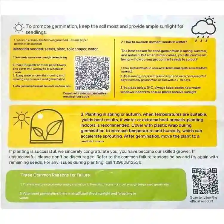 Little Flower Farmer® "Oil Drum Garden" Kit – Grow Your Own Sunflower 6 Jb Stationers Tin Can Garden Kit