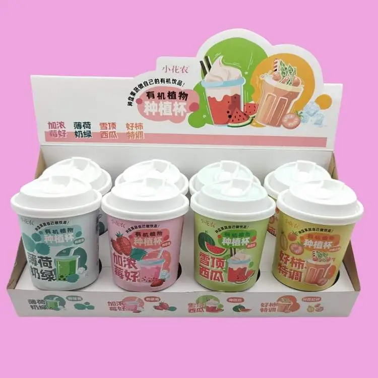 "Little Flower Farmer" Organic Plant Growing Cup – Grow Mint, Strawberry, Watermelon, Persimmon 1 Jb Stationers Organic Plant Growing Cup