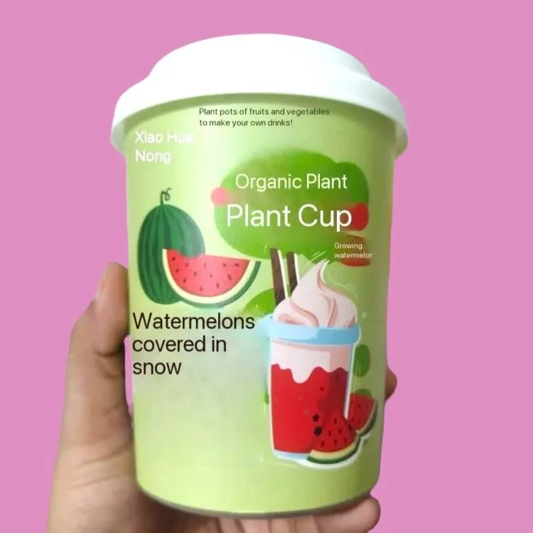 "Little Flower Farmer" Organic Plant Growing Cup – Grow Mint, Strawberry, Watermelon, Persimmon 5 Jb Stationers Organic Plant Growing Cup